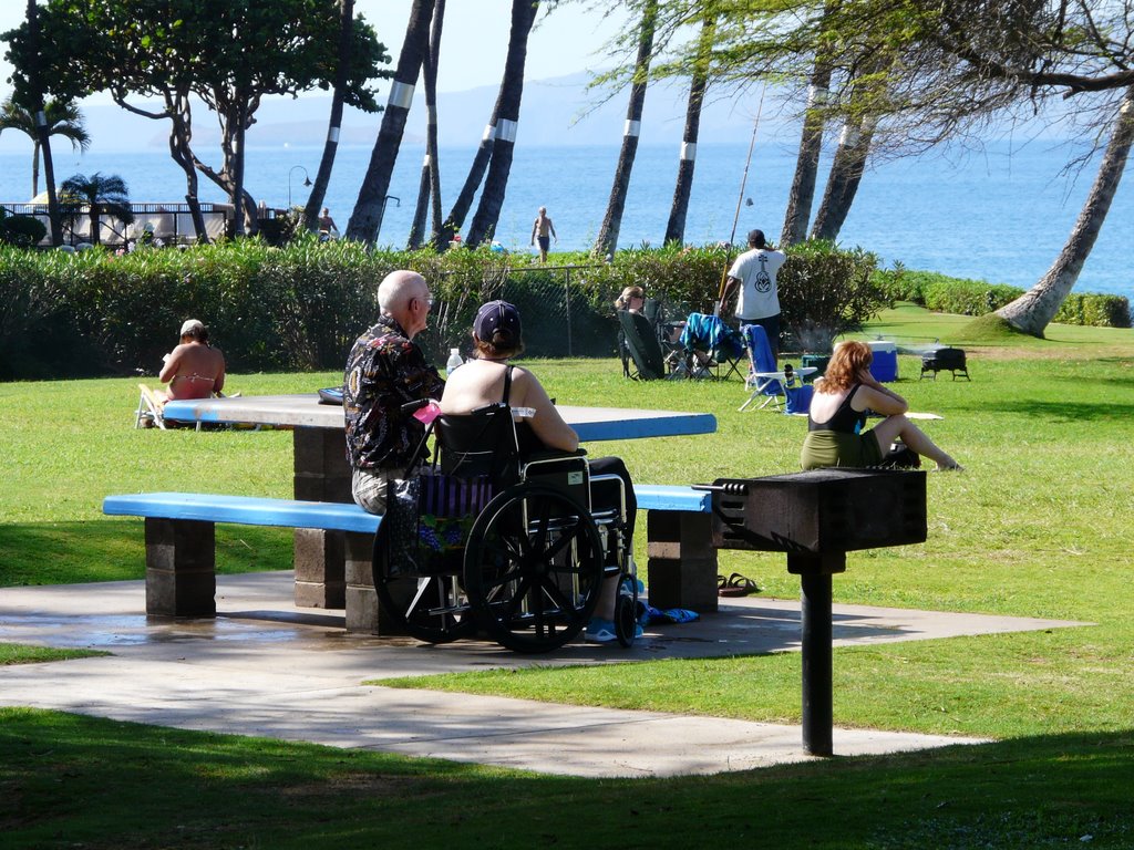 Recap of Feb. 16, 2010 Community Meeting – South Maui Park Plan