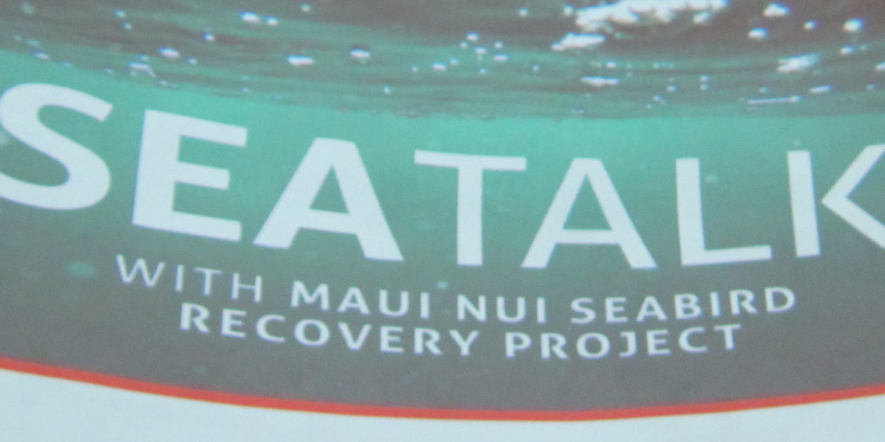 All you ever wanted to know about Maui’s Seabirds