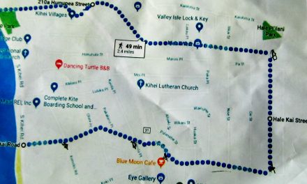 New Bus Route Planned for North Kihei