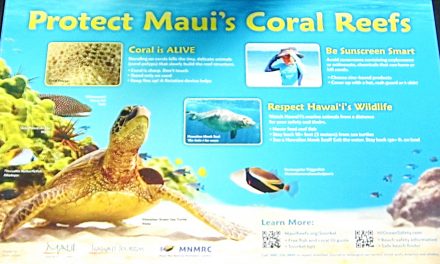Reef Etiquette Signs Still Educating South Maui Beach Goers After Ten Years