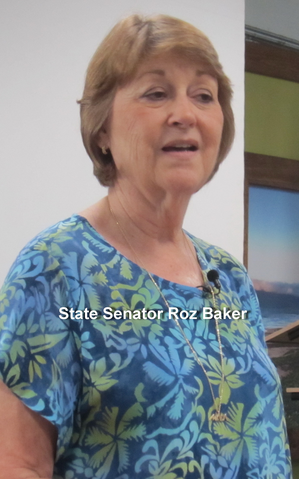Senator Roz Baker concentrates on DOH high school in Kihei