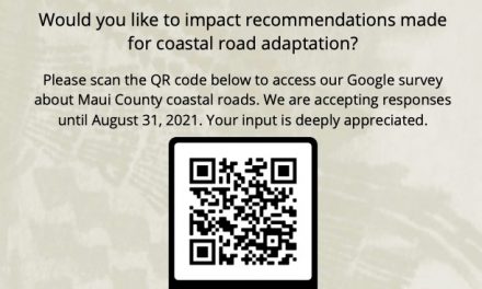 Coastal Road Adaptation Survey