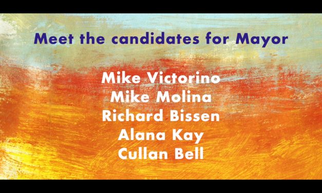Meet the Candidates for Maui County Mayor